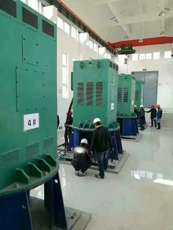 大成镇某污水处理厂使用我厂的立式高压电机安装现场